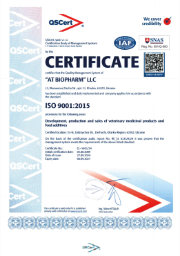 Iso 9001 (2024) en