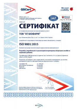 Iso 9001 (2024) ua